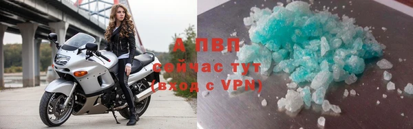 стаф Осинники