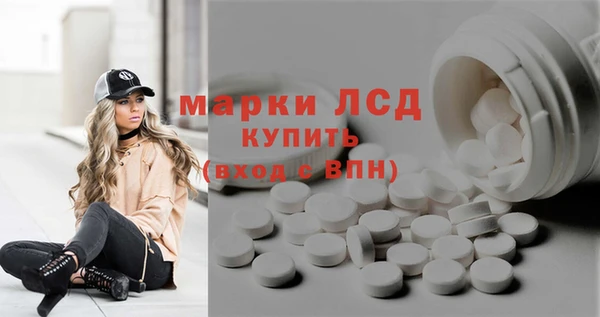 сатива Абинск