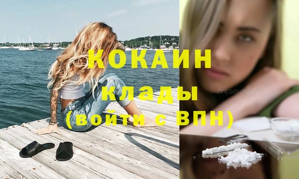 стаф Осинники