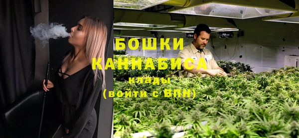 стаф Осинники