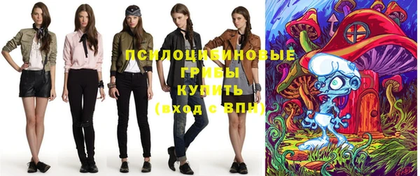 сатива Абинск