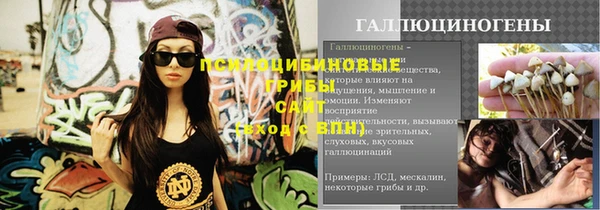 сатива Абинск