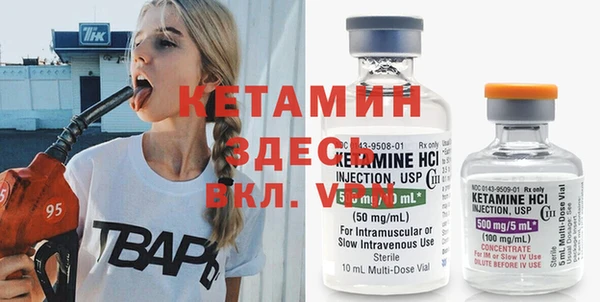 сатива Абинск