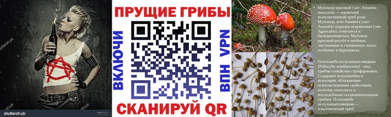 Псилоцибиновые грибы мухоморы Рассказово